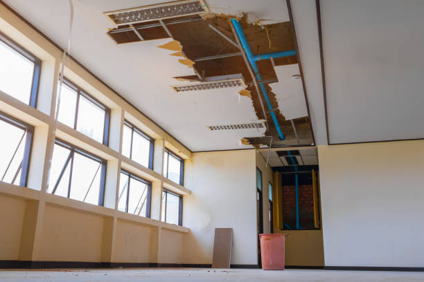  Garden View, PA Water damage restoration Pros
