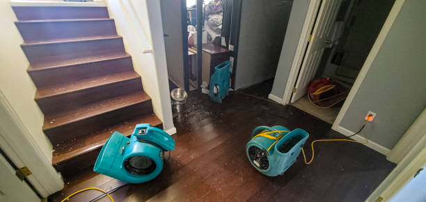 Best Sewage cleanup and water damage restoration  in Garden View, PA