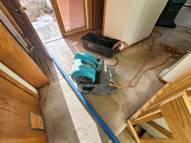 Best Water damage restoration process  in Garden View, PA