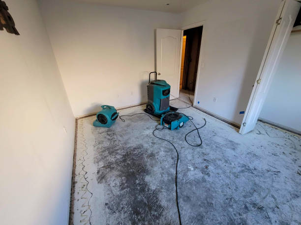 Best Ceiling water damage repair  in Garden View, PA
