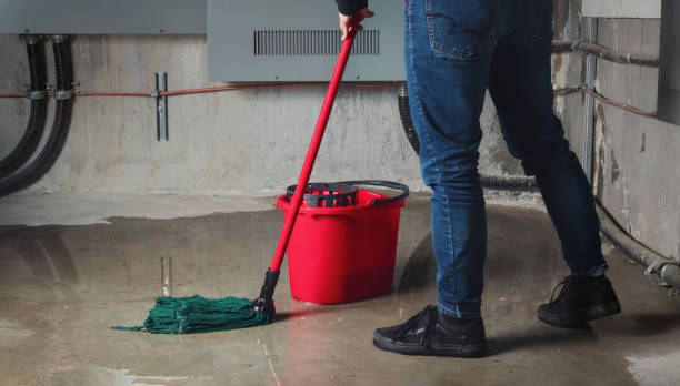 Best Local water damage restoration  in Garden View, PA