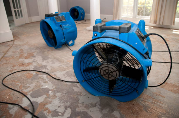 Best Fire Damage Restoration  in Garden View, PA