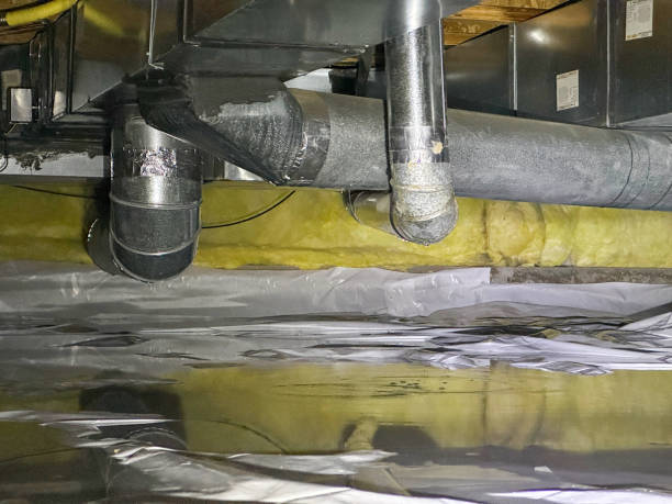 Best 24/7 water damage repair  in Garden View, PA