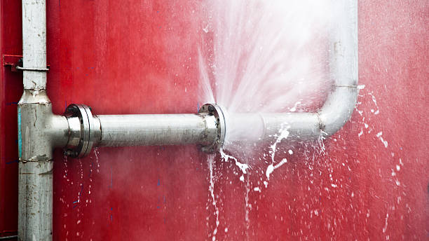 Best Flooded house restoration  in Garden View, PA