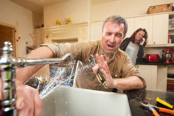 Best Water damage cleanup near me  in Garden View, PA